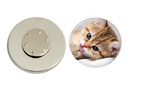Magnetic Pin Back | Silly Cat | Badges and Buttons Club